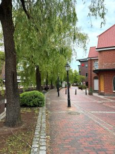 IMG_8156